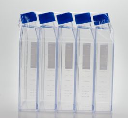 T175 T-175 Culture Flask 650ml, Vented - Sterile (40/ case) | Crystalgen