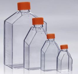 t_flasks_1.jpg
