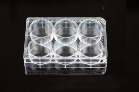 6 Well Tissue Culture Plate