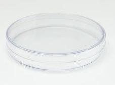 35x10 mm Standard Cell & Tissue Culture Dishes, 500/Case