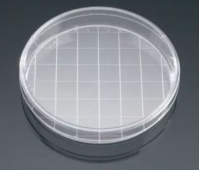 35x10 mm Standard Cell & Tissue Culture Dishes, with Grid, 500/Case