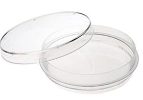 100x20 mm Standard Cell & Tissue Culture Dishes, 300/Case
