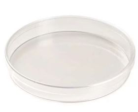 150x20 mm Standard Cell & Tissue Culture Dishes, 100/Case