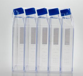 T-175, 650mL Standard Tissue Culture Flask, 40/Case