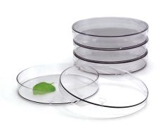 100x20 mm Biodegradable Round Petri Dishes, Sterile, 300/Case
