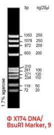 X174 DNA/BsuR1 Marker, 9