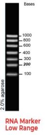 RNA Marker Low Range