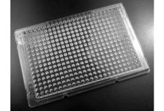 384-Well Tissue Culture Plate, Treated, 50/Pack