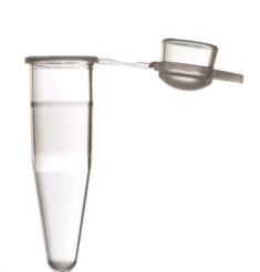 0.2mL Individual PCR Tubes, with Domed Cap, Clear, 1000/Unit