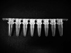0.2mL 8-Strip PCR Tubes w/ Flat Caps, Clear, 125/Unit