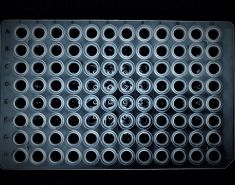 0.2mL Non-Skirt PCR Plate, 96-Well, Clear, 25/Unit