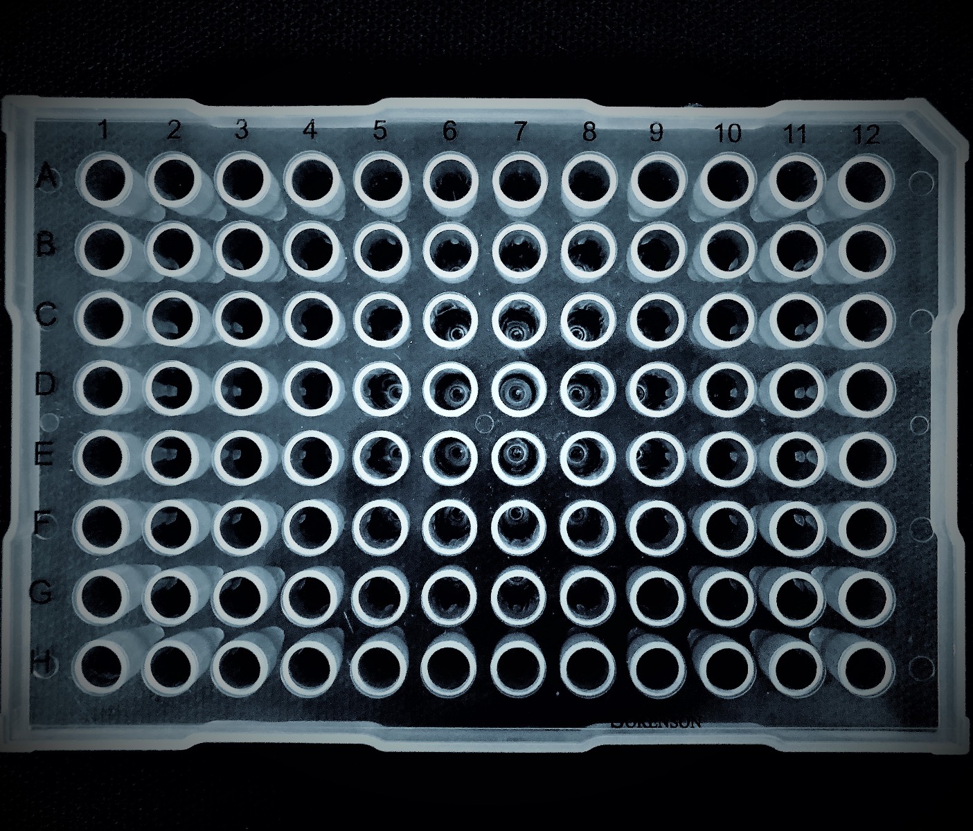 PCR Plates
